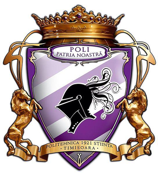 FC Timisoara, sanctionata prin neprogramarea la meciurile oficiale 