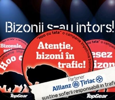 Bizonii s-au intors! 