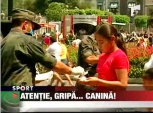 Atentie! Gripa canina