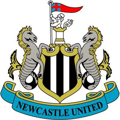 Fanii lui Newcastle incearca sa cumpere clubul de la patronul Mike Ashley