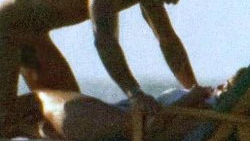 Belen Rodriguez a facut sex pe plaja