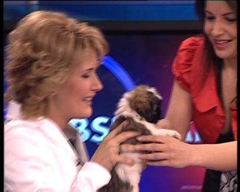 Alessandra Stoicescu a primit din partea colegilor un catel cu pasaport