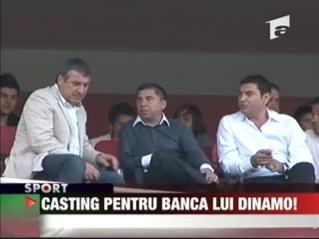 Casting pentru banca lui Dinamo!