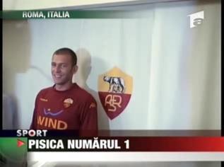 "Pisica", numarul 1