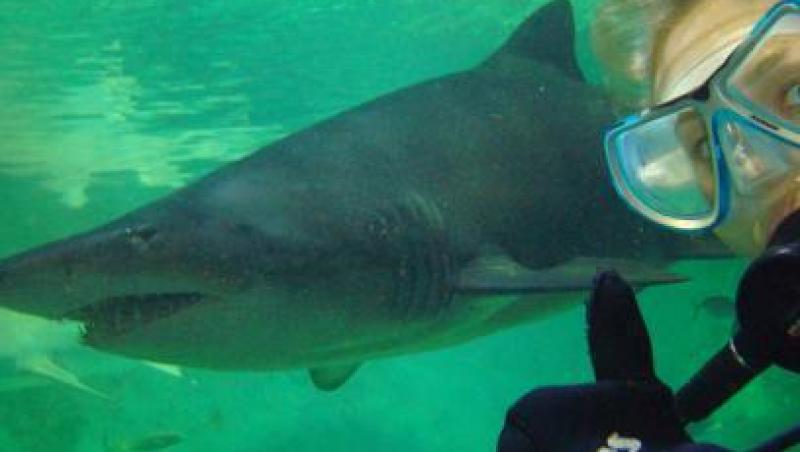 Bahamas, locul unde poti sa inoti printre rechini