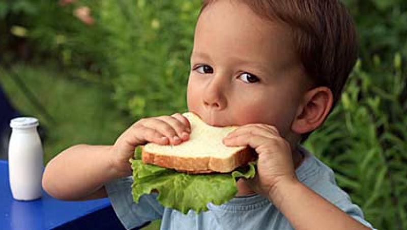 Afla ce alimente combat carenta de fier la copii!