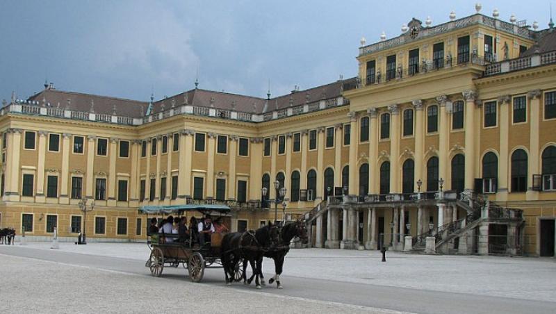 Util: Cum sa te descurci cu transportul public in Viena