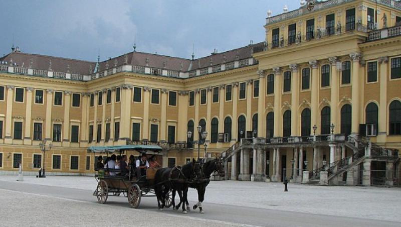 Util: Cum sa te descurci cu transportul public in Viena