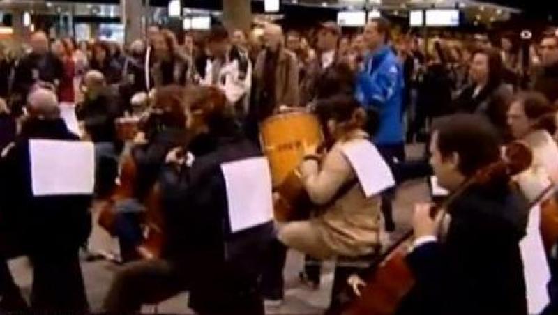 VIDEO! Vezi cum protesteaza olandezii!