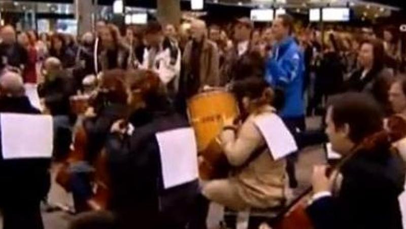 VIDEO! Vezi cum protesteaza olandezii!