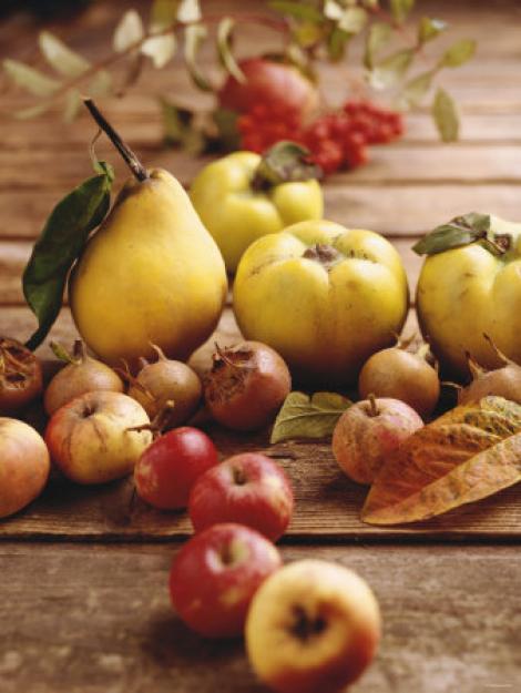 Vitaminele necesare toamna: consuma fructe de sezon!