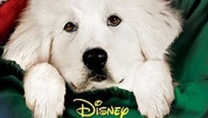 VIDEO!Afla cine este cel mai nou prieten al Mosului in filmul 