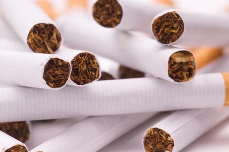 Captura record de tigari in vestul tarii. 350 de tone de tutun confiscate de vamesii aradeni