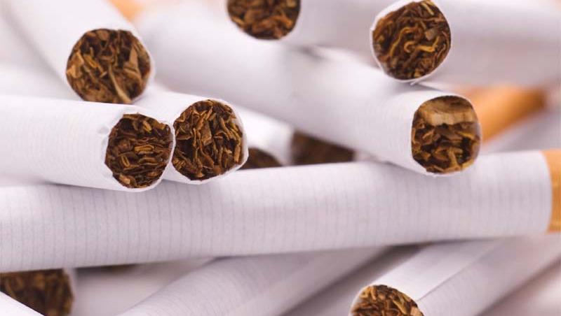 Captura record de tigari in vestul tarii. 350 de tone de tutun confiscate de vamesii aradeni