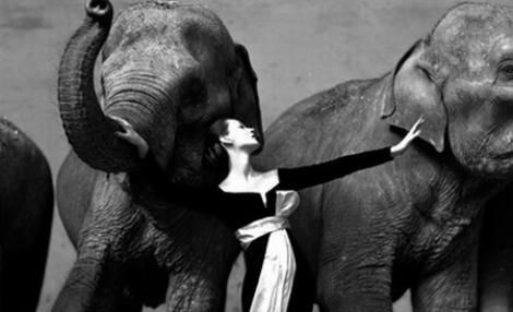 O fotografie realizata de Richard Avedon, licitata la 841.000 de euro