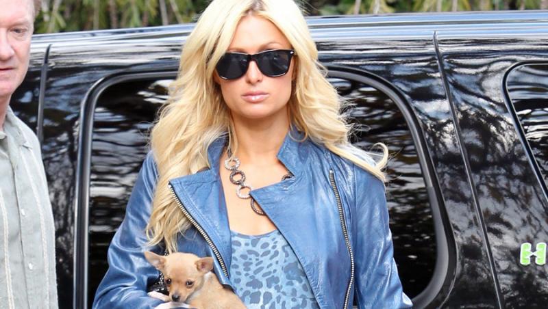 Paris Hilton se plimba prin tribunale