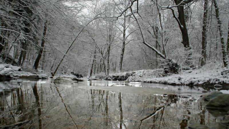 Iarna pune stapanire pe nordul tarii. 11 judete au fost afectate de ninsoare