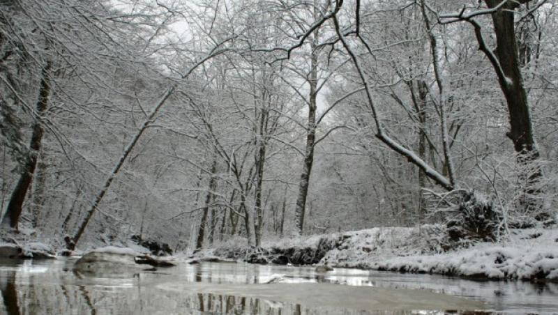 Iarna pune stapanire pe nordul tarii. 11 judete au fost afectate de ninsoare