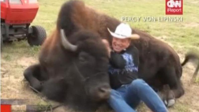 Cum sa ai un bizon animal de companie
