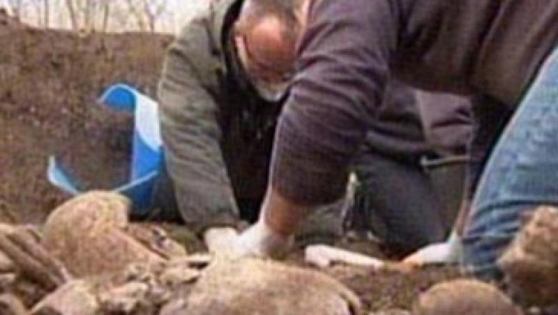 Video / Groapa comuna din Al Doilea Razboi Mondial, descoperita in Iasi