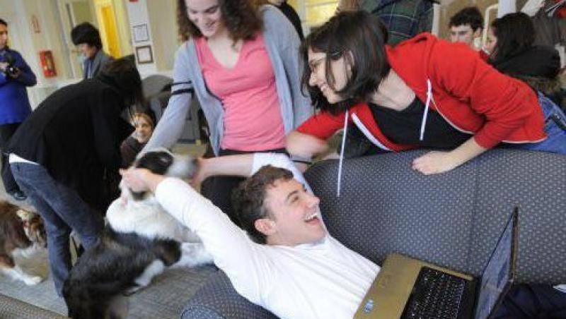 Studentii americani scapa de stres cu ajutorul cainilor de terapie
