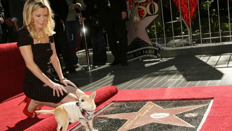 Reese Witherspoon, rasplatita cu o stea pe Hollywood Walk of Fame