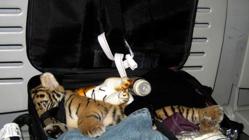 Anul 2010: cele mai ciudate lucruri confiscate pe aeroporturi