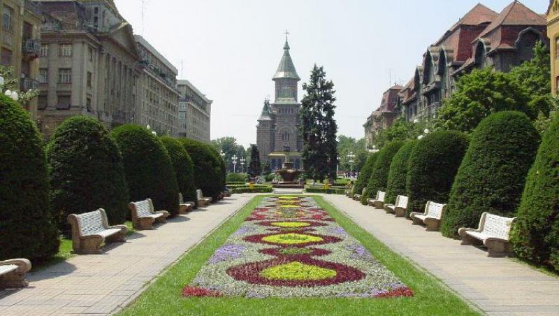 VIDEO! Cascadorii pe muzica ambientala la Timisoara