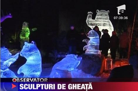 VIDEO! Germania: Sculpturi inedite de gheata