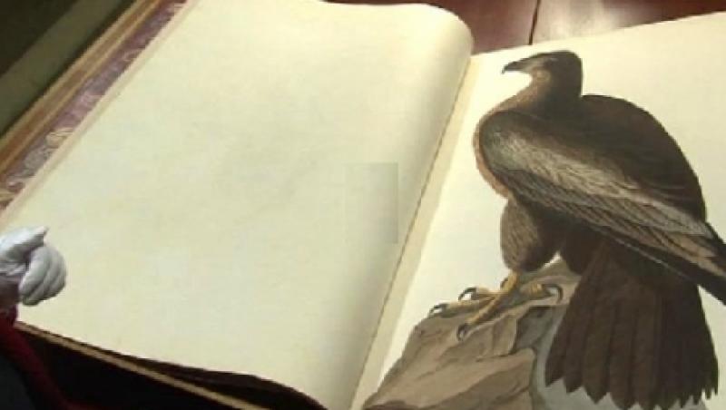 Birds of America, cea mai scumpa carte din lume: 10 mil. $