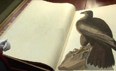 Birds of America, cea mai scumpa carte din lume: 10 mil. $