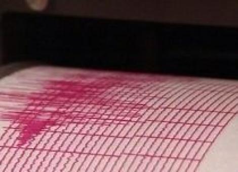 Cutremur de 3,8 pe scara Richter in Vrancea, resimtit si la Bucuresti