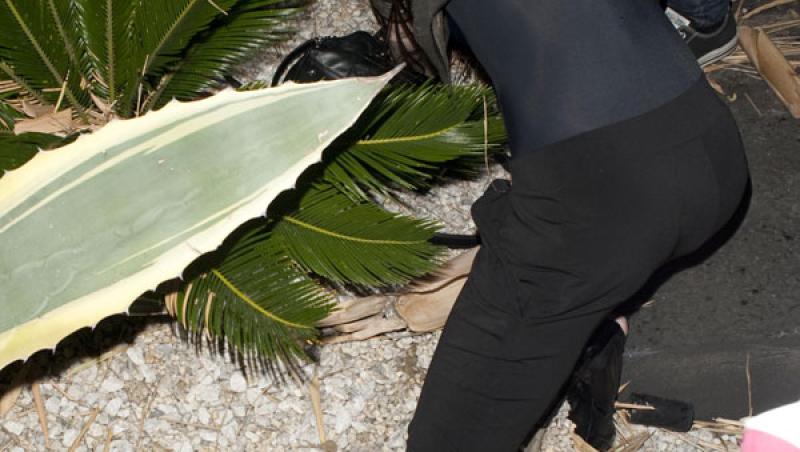 Lindsay Lohan a cazut in cactusi