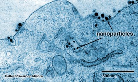 SPERANTA: "Nanobotii" lupta eficient impotriva cancerului