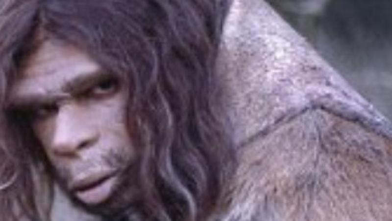 A fost descoperita o noua specie umana, contemporana cu Homo Sapiens si Neanderthal