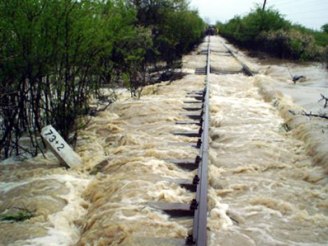 Trenuri blocate de aluviuni pe Valea Oltului
