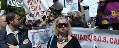 Bucuresti: 300 de oameni au protestat pentru maidanezi
