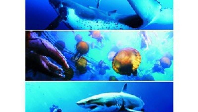 Descopera lumea subacvatica cu filmul Oceans, de la Disney!
