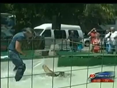 VIDEO Un dresor a fost muscat de un crocodil
