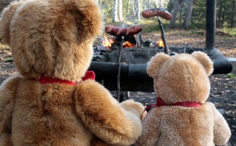 Vacanta in Finlanda pentru ursuletii de plus