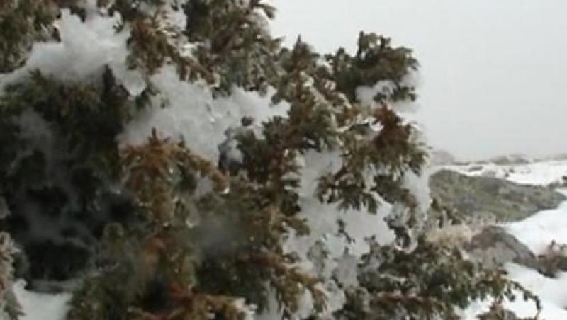 Ninsoare de mai: Pe crestele Parangului a nins ca-n toiul iernii