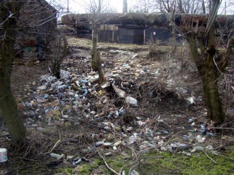 Bucuresti: Proprietarii de terenuri virane, obligati sa puna gazon