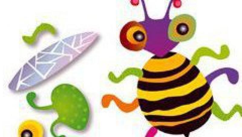 Wonderboard Build a Bug - jucaria educationala