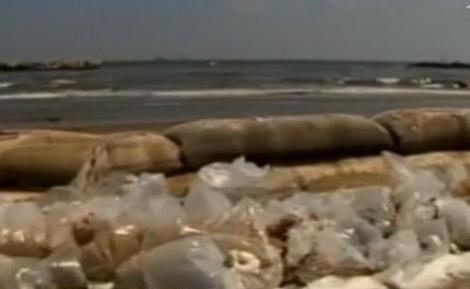 Dezastru ecologic in SUA: Zeci de pelicani acoperiti de petrol