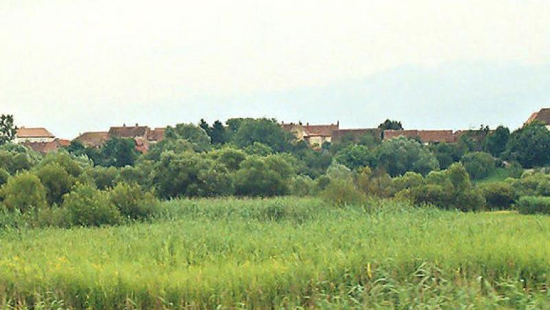 Avrig, capitala mestesugului popular sibian