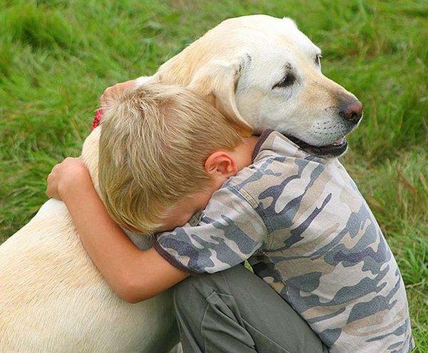 Catelul in familii cu copii