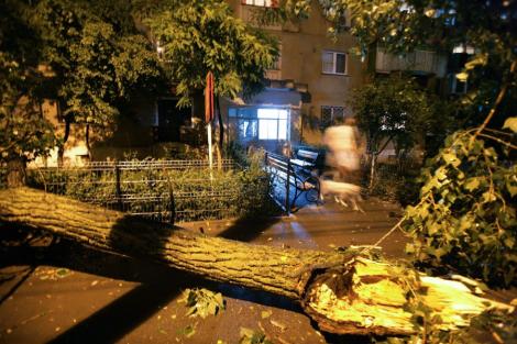 Bilantul furtunii din Bucuresti: Oameni loviti de trasnet, copaci cazuti, strazi inundate