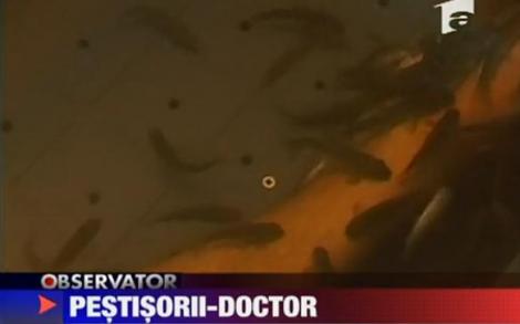 VIDEO! Terapia cu pestisorii-doctor te scapa celulele moarte