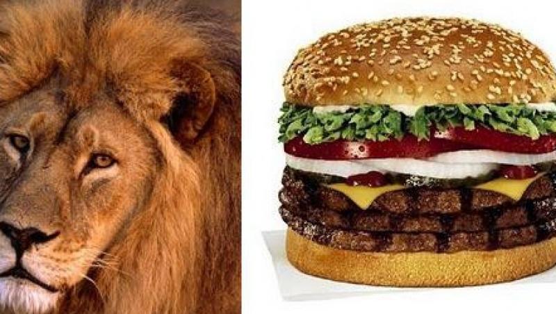 Specialitati americane: burger cu carne de leu!