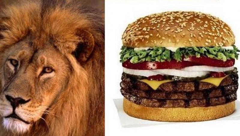 Specialitati americane: burger cu carne de leu!